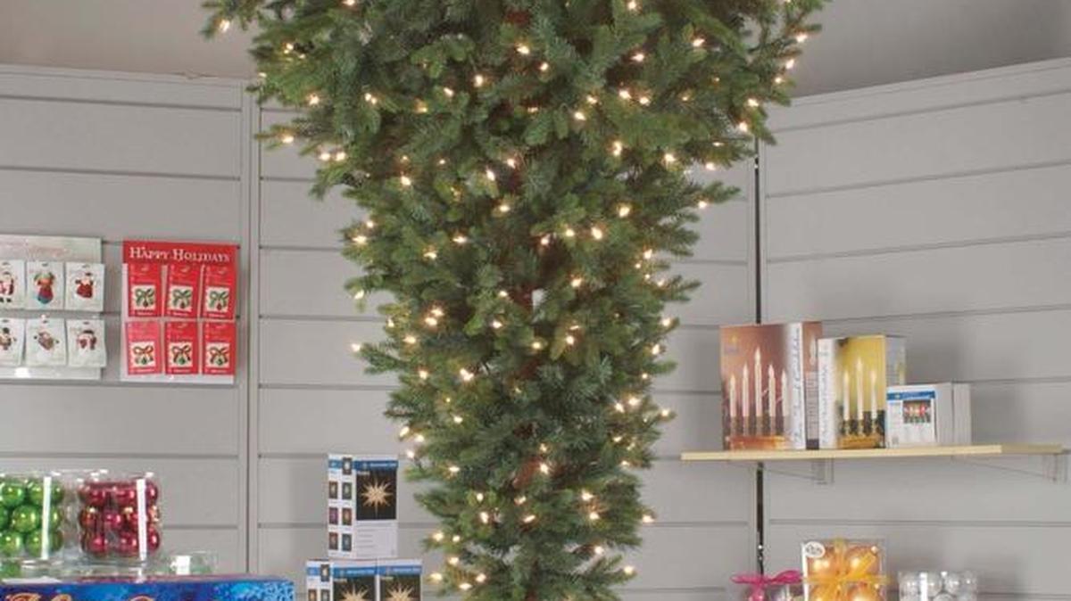Upside-down Christmas trees are becoming trendy.