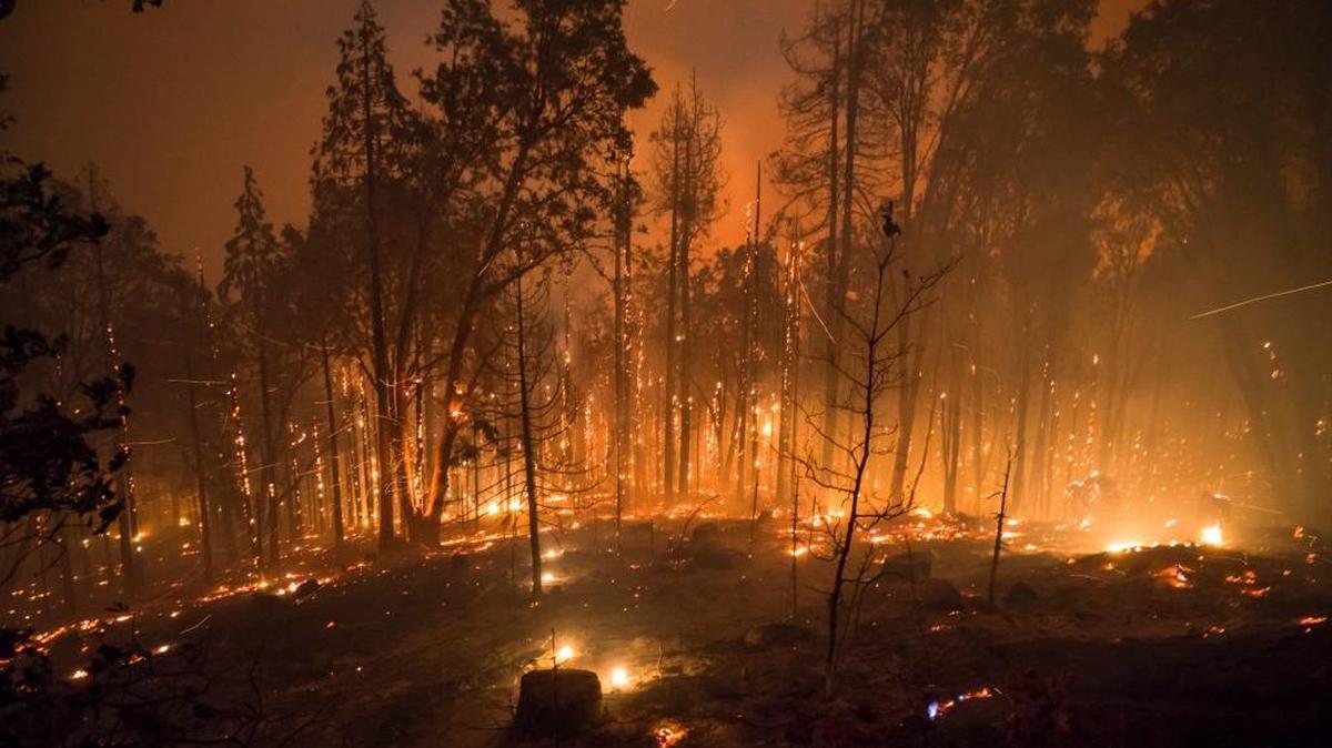 A shot of the Railroad Fire taken from the Fish Camp area the evening of Aug. 29. Numerous trees can be seen being claimed by the flames. The fire grew to 4,360 acres and was 10% contained the evening of Friday, Sept. 1.