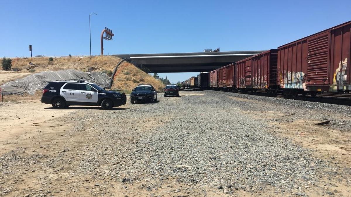 A woman was in critical condition after she was struck by a train in central Fresno on Sunday, July 2, said police Lt. Joe Gomez.
