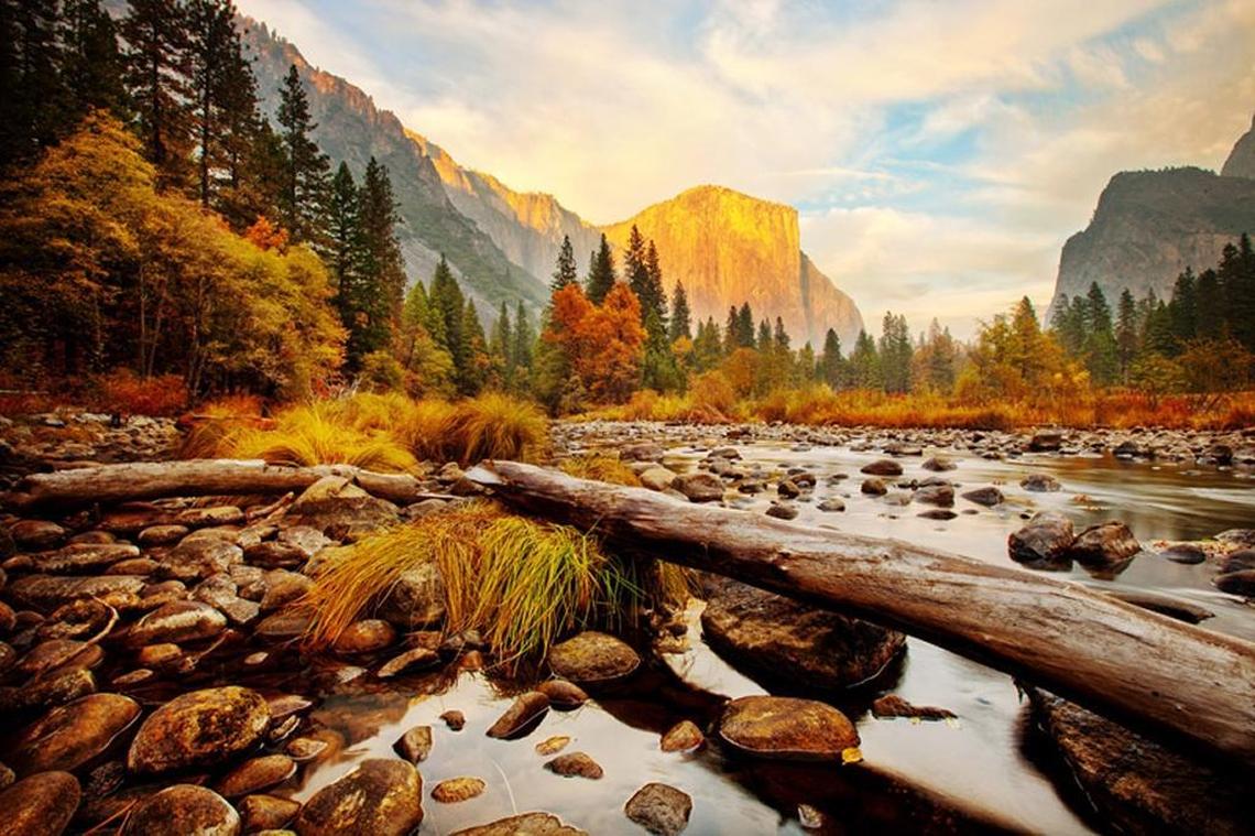 Nov. 11, 2014: Late afternoon sunshine hits El Capitan in the background as the Yosemite Valley displays brilliant fall colors around the Merced River on a warm autumn day. This image was made through a high dynamic range process or HDR. Using a tripod, bracketed exposures were made that were both over-exposed and under-exposed. Those images were merged together in Photoshop and then color-corrected normally. This allowed the bright highlights of El Capitan as well as the shadow areas on the river to keep from becoming too dark or too light. Craig Kohlruss’ photo was honored with a second place award by the California Newspaper Publishers Association.