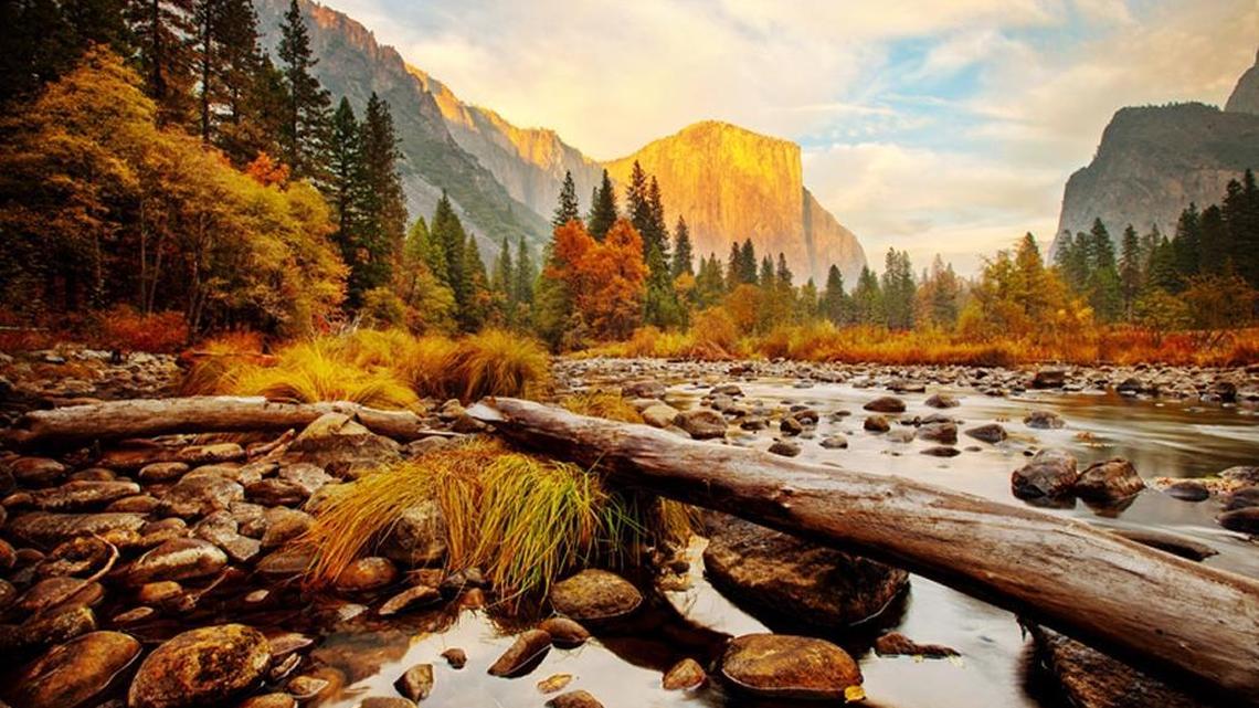 Nov. 11, 2014: Late afternoon sunshine hits El Capitan in the background as the Yosemite Valley displays brilliant fall colors around the Merced River on a warm autumn day. This image was made through a high dynamic range process or HDR. Using a tripod, bracketed exposures were made that were both over-exposed and under-exposed. Those images were merged together in Photoshop and then color-corrected normally. This allowed the bright highlights of El Capitan as well as the shadow areas on the river to keep from becoming too dark or too light. Craig Kohlruss’ photo was honored with a second place award by the California Newspaper Publishers Association.