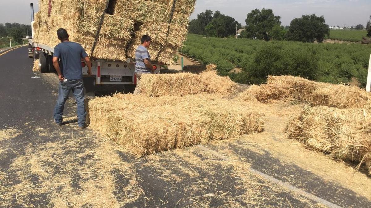 Workers begin to clean up hay bales that fell off their truck at the Shirk Street onramp to westbound Highway 198 in Visalia.