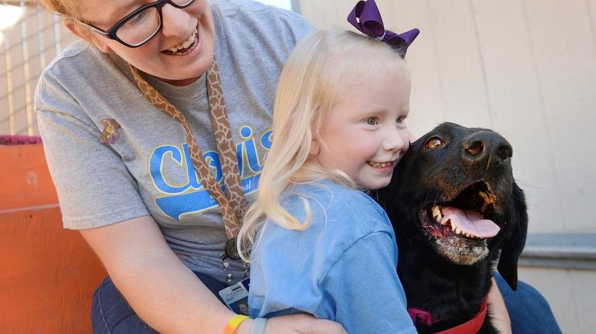 Norah Kerr, 4, hugs her dog Sadie, at Fresno Humane Animal Services with her mother Amber Kerr in this 2016 photo. Granville Homes will pay all dog adoption fees through the month of September at Fresno Humane Animal Services.