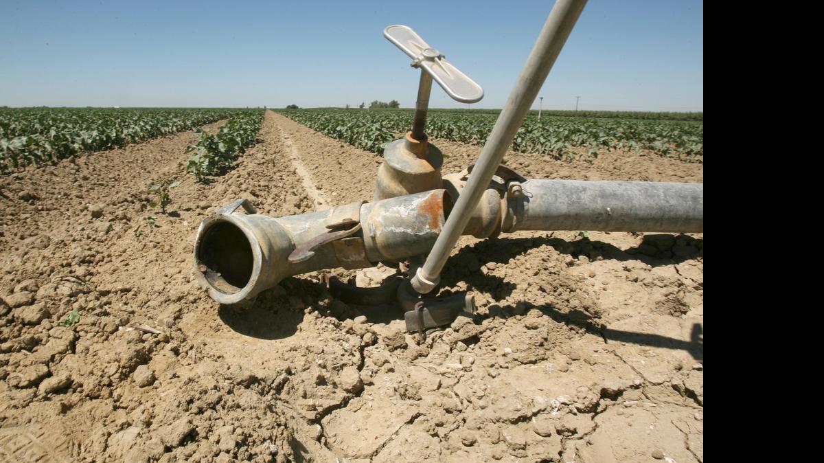 
For the first time in nearly a century, farmers who normally receive canal water from the Fresno Irrigation District will receive no regular deliveries this year.
