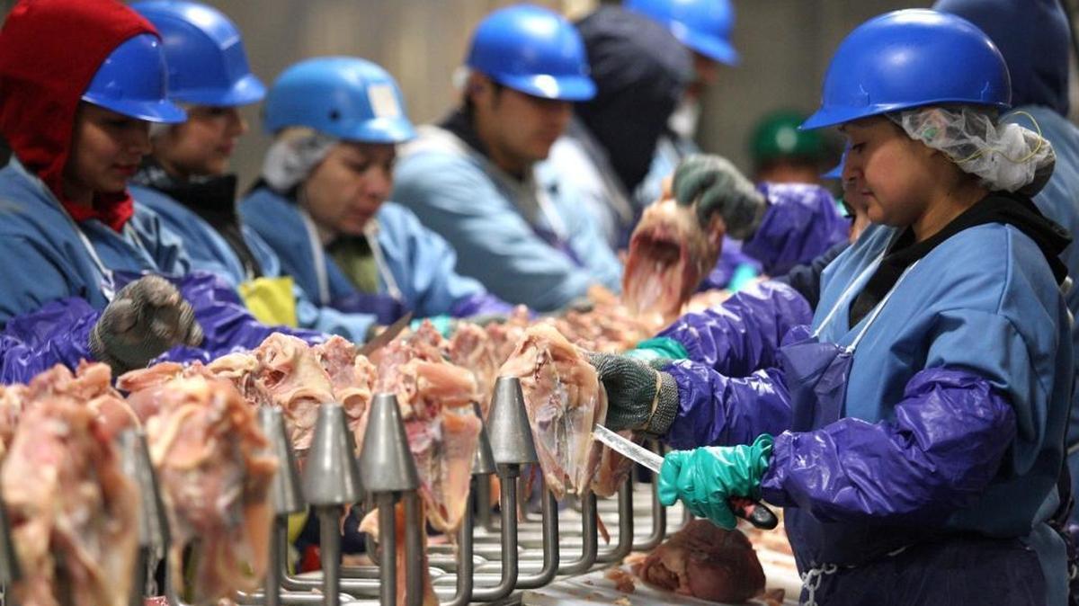 Workers cut poultry at Pitman Family Farms processing plant in Sanger.