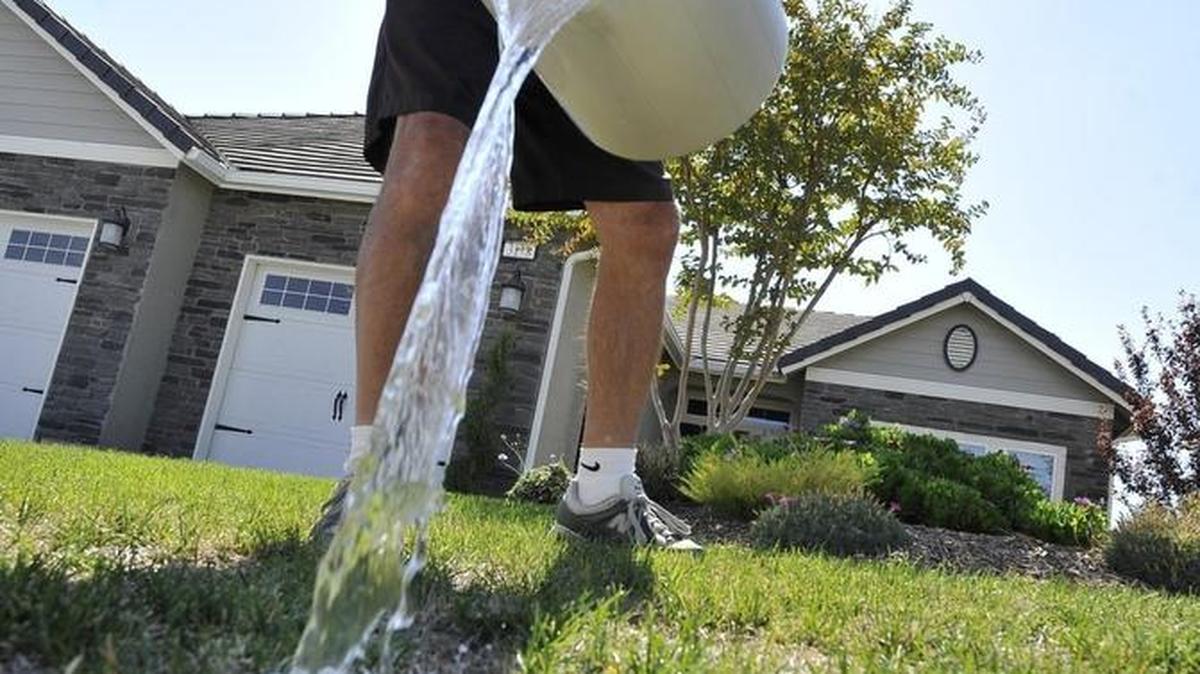 John Guarnera uses pre-shower water to try and bring back dry spots in his Clovis home’s lawn.