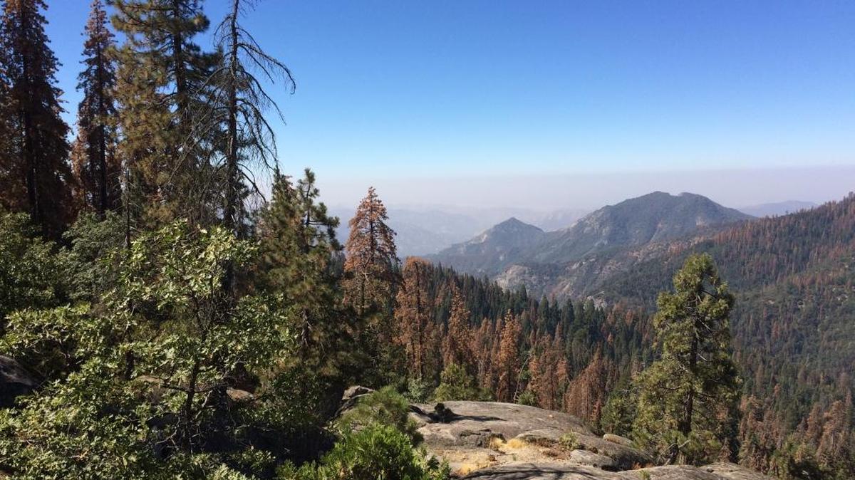 Air pollutants trapped in the central San Joaquin Valley form a curtain of bad air that can easily been seen from this higher vantage in Sequoia National Park.