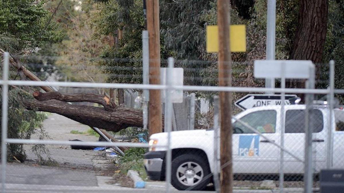 PG&E crews begin the process of removing a tree that fell into power lines between the Highway 99 off-ramp at Stanislaus Street and C Street in Fresno Wednesday.