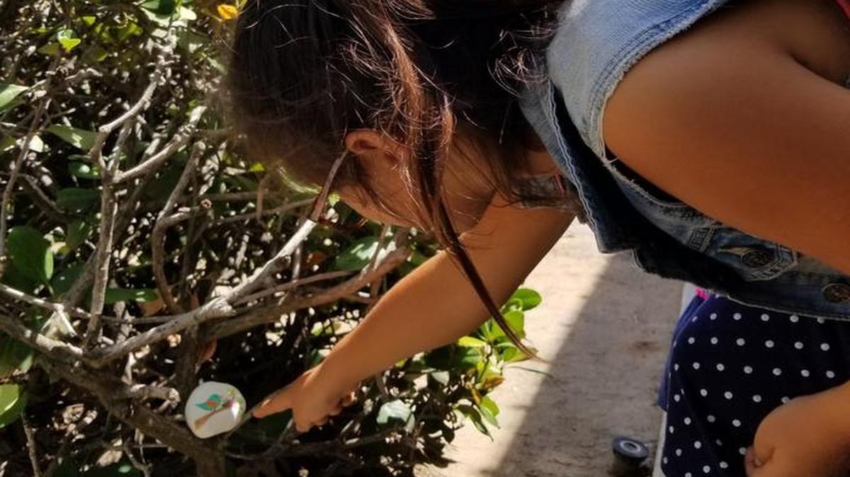 Amalia Ashton, 8, points out a rock she hid in Old Town Clovis. Anyone who finds the rock can keep it, re-hide it or leave it alone.
