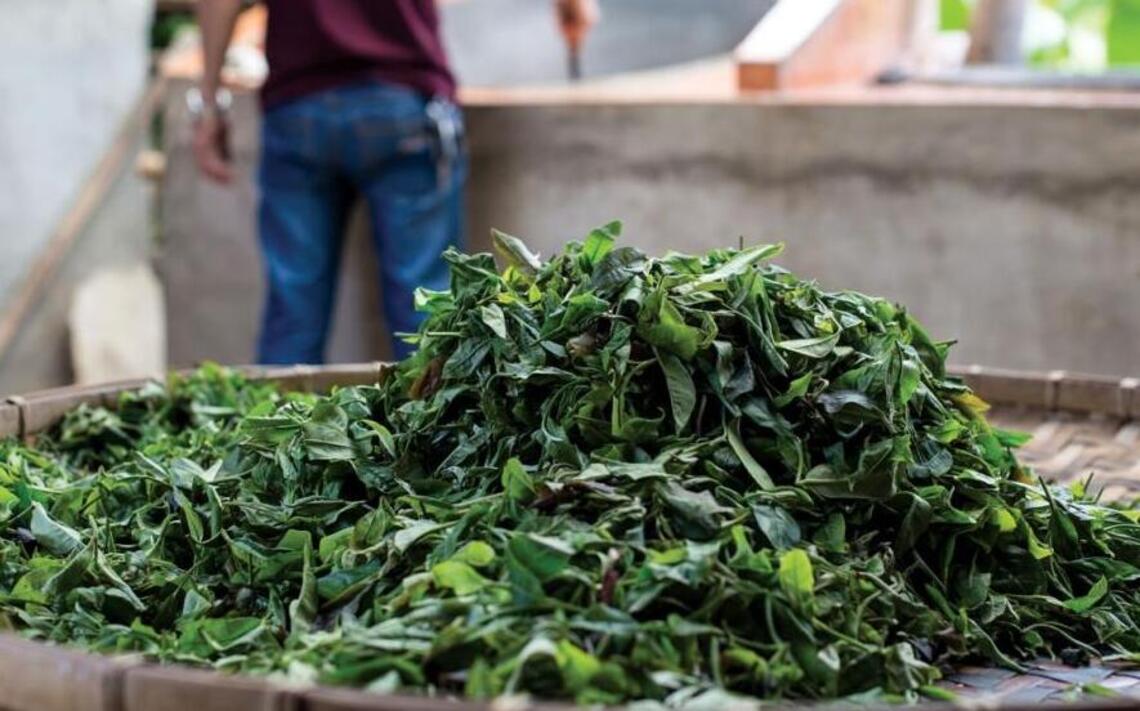 Misty Peak Teas founder hopes to make quality tea more accessible to the Central Valley