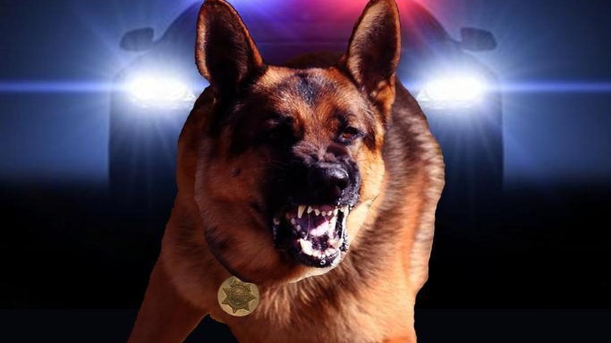 Police officer Dustin Dodd’s book, “Savage Justice” is available online at Amazon, Barnes & Noble and www.savagejustice.com.