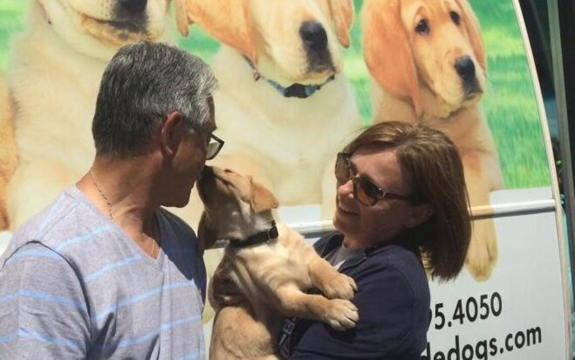 Puppy truck delivers guide dogs in training to local families