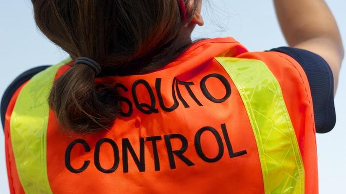 Mosquitos, cockroaches, more insects surfacing soon in Fresno area. Here’s why