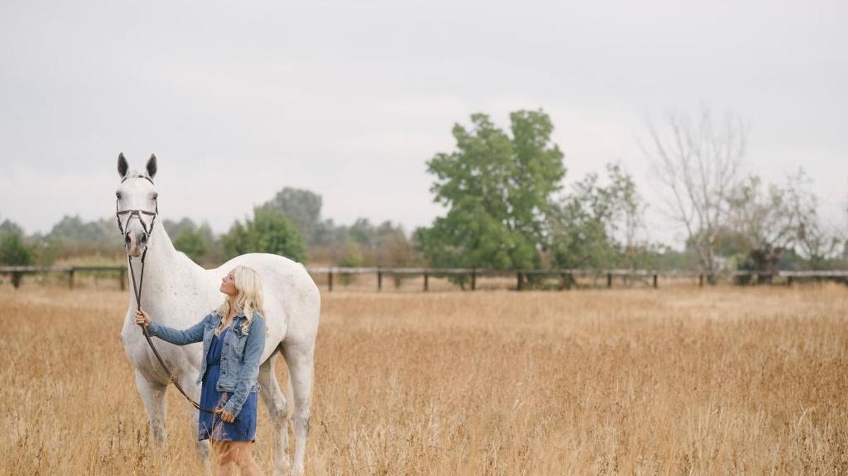 Katie Flanigan rescued her favorite horse, Armani, four years ago. He is related to Rachel Winch’s horse, Gucci, who was also rescued, rehabilitated and trained. Gucci died in early October and Armani has shown signs of damage.