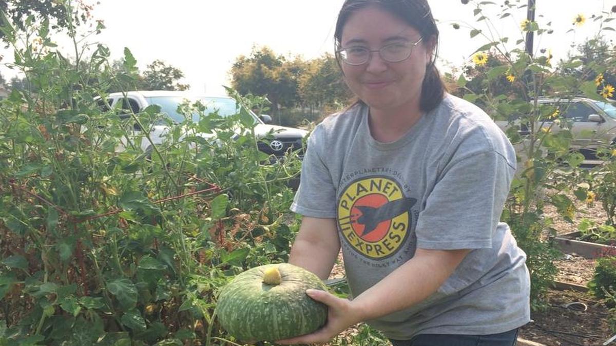 
April Hoffman harvests a pumpkin from her bed in Alluvial Community Garden, where she grows a variety of vegetables. 
