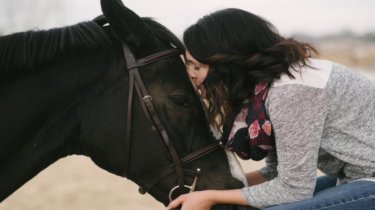 Rachel Winch boarded her horse, Gucci, at Black Fence Farm. Gucci died in October after eating monensin-tainted horse feed. The ranch is now suing Western Milling, LLC, the company allegedly responsible for manufacturing the poisonous feed.