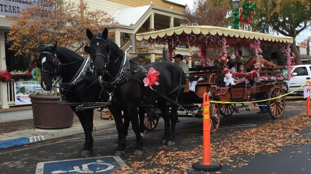 Fabianna and Blazer pull a decorated carriage through Old Town Clovis.