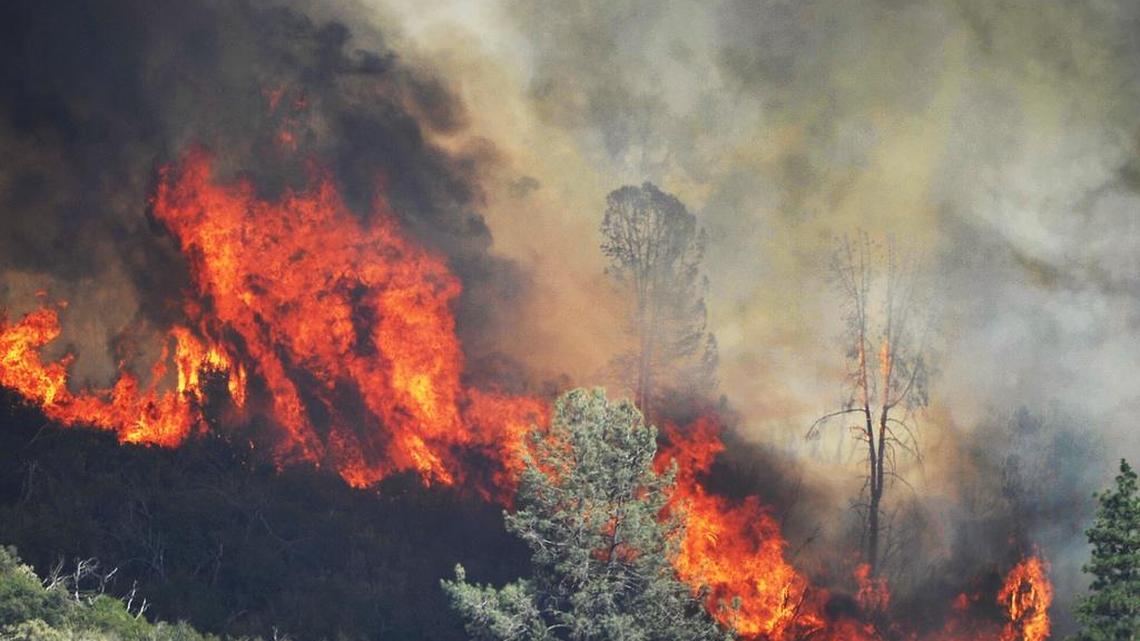 

The Willow fire that started July 25 burned 5,702 acres and cost at least $18.3 million to fight, the U.S. Forest Service said. The forest service reported 100 percent containment on Saturday, Aug. 15. 
