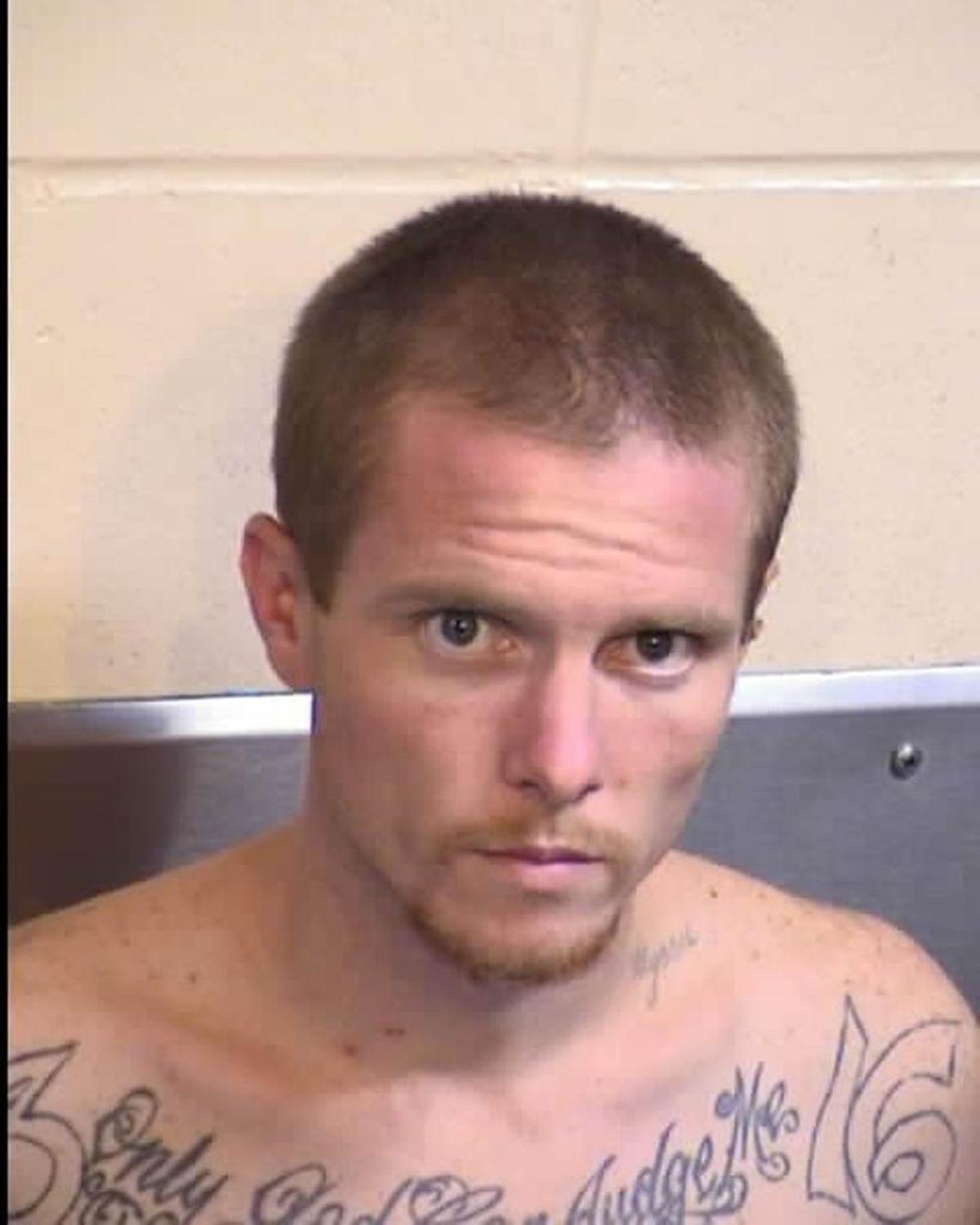 Aaron Schwabenland, 27, of Fresno, arrested for multiple alleged felony charges.