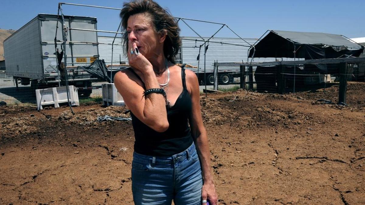 Kathy Jones stands with some of her trucks behind her at her ranch near Navelencia, east of Fresno near Reedley, on June 1, 2012. Jones was sentenced Monday, April 11, 2016, to 16 months in jail on animal cruelty charges after authorities found two dead horses and 13 malnourished horses on her 36-acre ranch four years ago. She was given credit for time served and has no time left on her sentence, but she is banned from owning animals for 10 years.