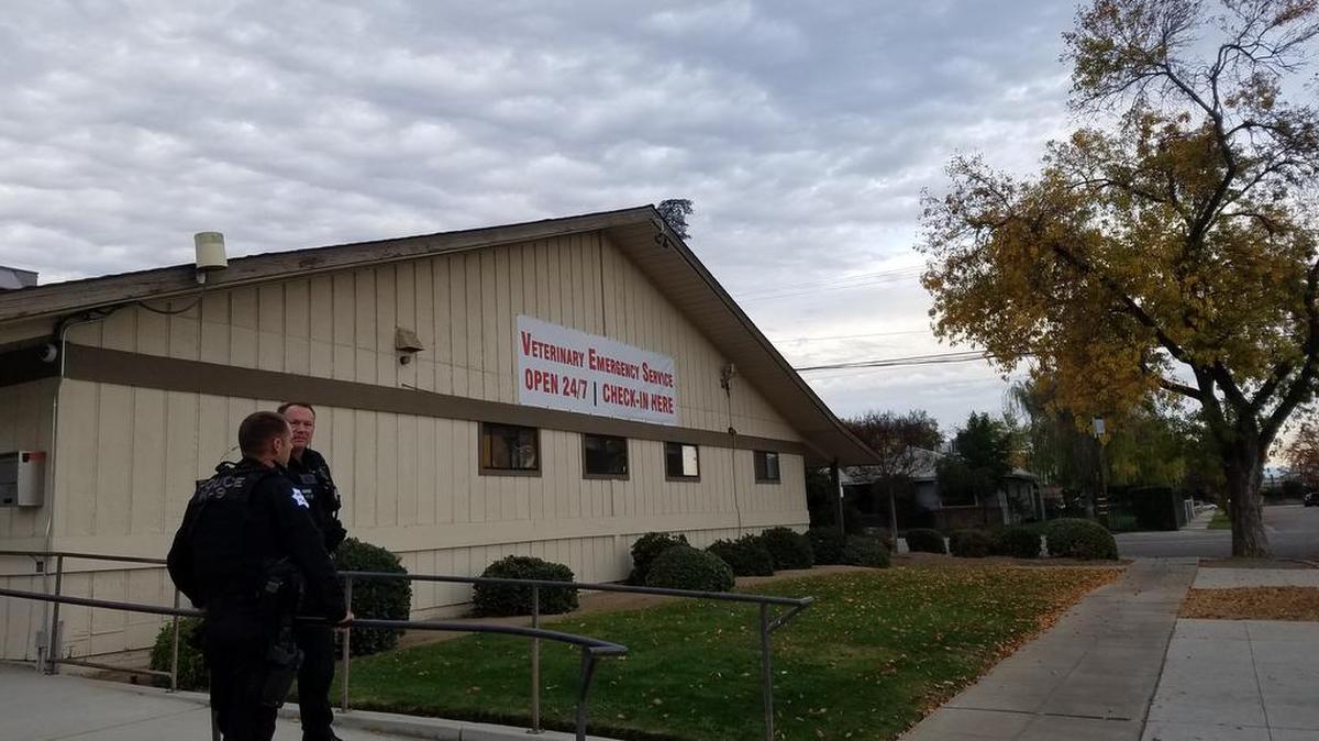 Police stand outside the veterinary hospital in Fresno where a Kings County K-9 was taken after being shot Sunday, Nov. 26, 2017.