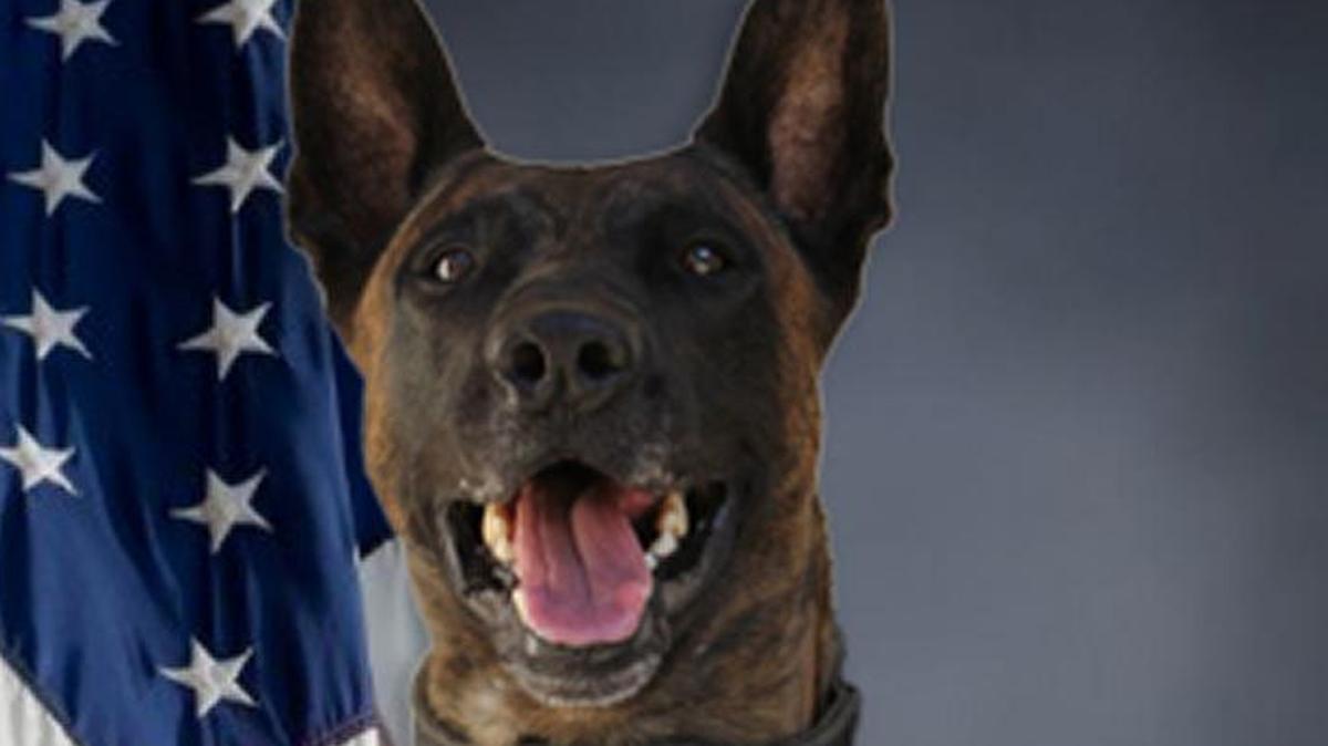 Deputy K-9 Mikey of the Fresno County Sheriff’s Department