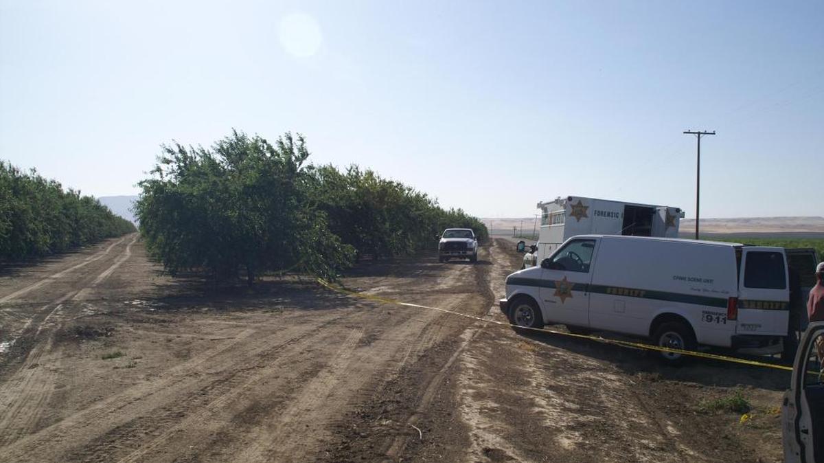 The orchard west of Firebaugh where Jack Dupee, 24, was found dead in 2006.