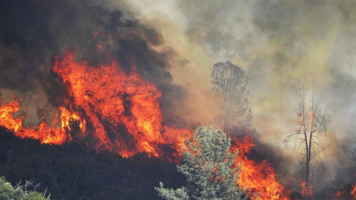 
A back burn for the Willow fire created by crews on the southwest perimeter burns August 1. At the time, fire officials reported the fire was over 5,000 acres in size. It would eventually grow to 6,000 acres.

