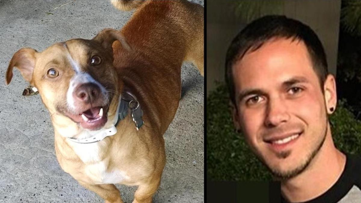 Mark Grahmann, 28, was sentenced to 180 days in jail for torturing a dog, Graham, left, a corgi-terrier mix, authorities said.
