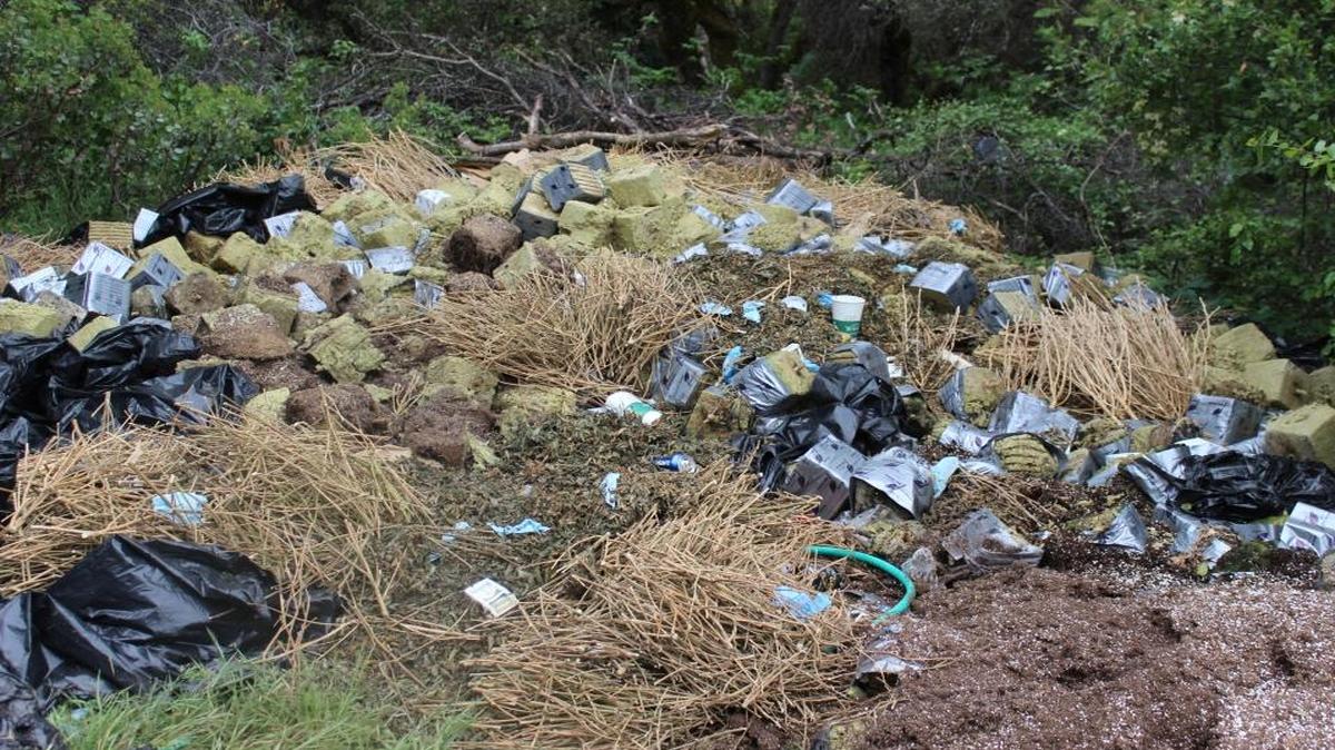 A large amount of waste from the indoor cultivation operation disposed near a natural creek on the property.