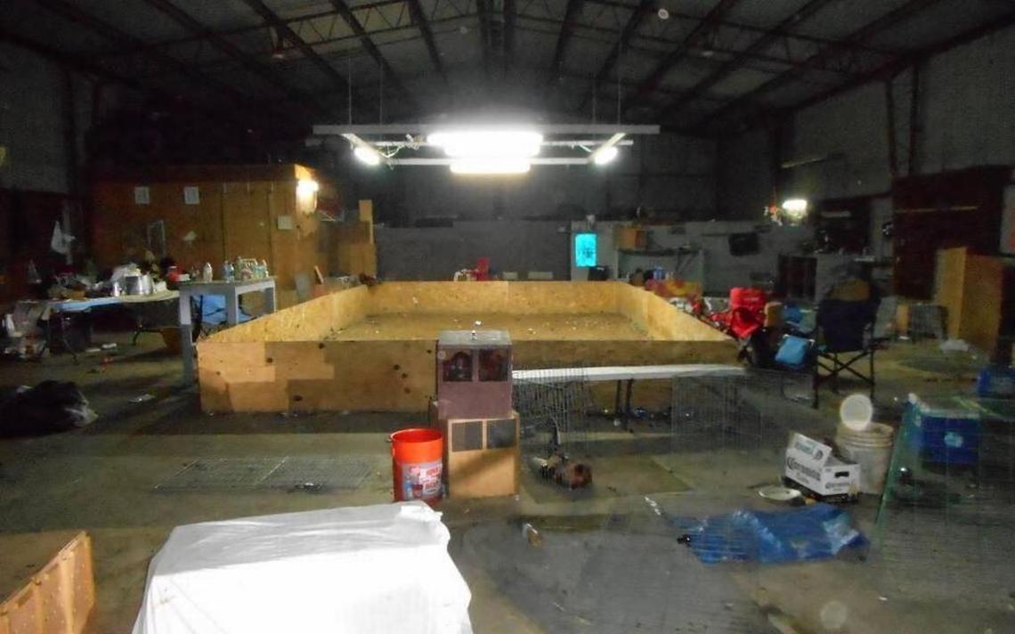 On April 21, Fresno County deputies found a cockfighting right in Kerman, where they went on to recover 129 fighting roosters, including 28 dead and nine injured birds. Fresno man Thomas Lee Crow was indicted on three counts of cockfighting.