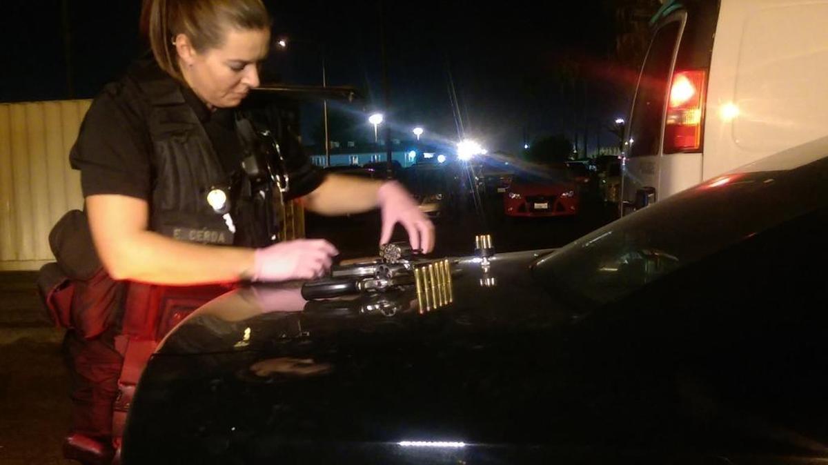 
A Fresno Police officer looks over loaded firearms recovered Saturday near the Fresno Fairgrounds, a haul that included two .357s and a .38.
