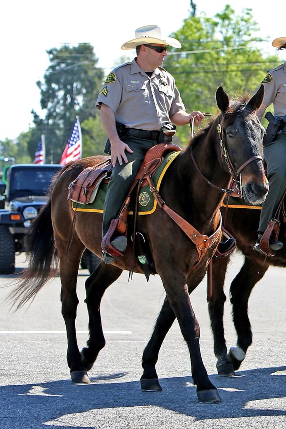 Deputy Todd Talent and Sunny