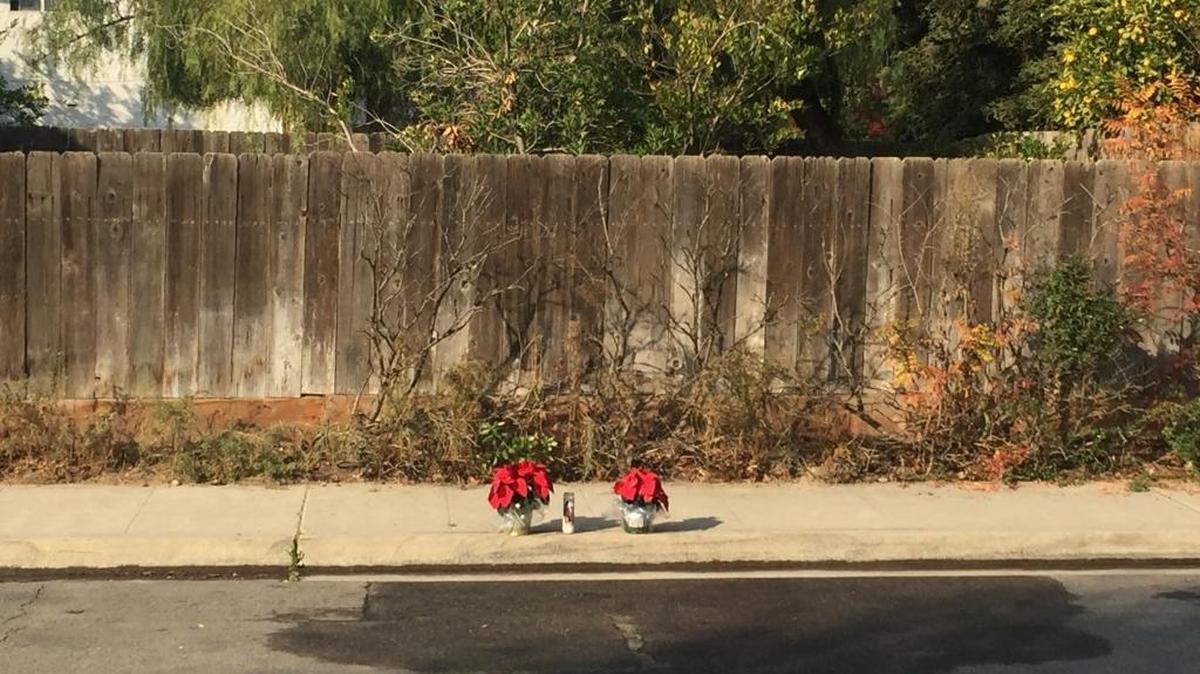 Flowers were placed at the scene of a double murder Friday morning in the 10000 block of Grouse Run. Two men in their 20s were shot to death there Thursday night.
