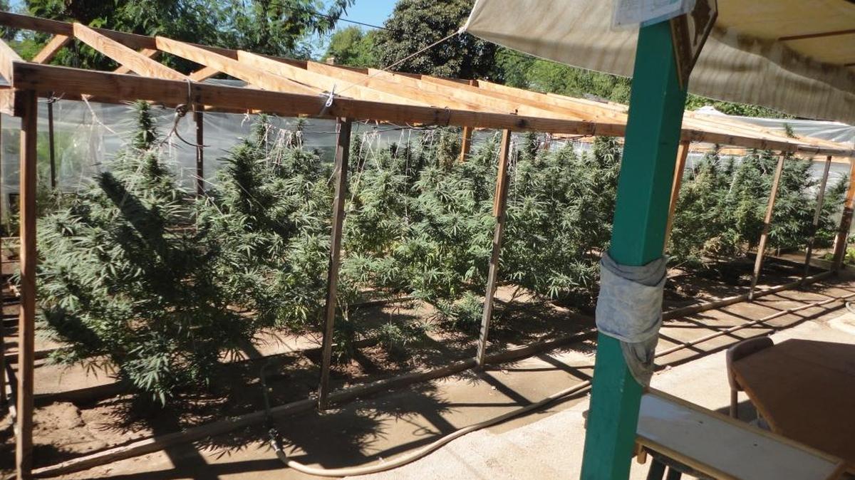 
Police confiscated marijuana grown at four houses, including this home at 4767 E. Woodward Avenue.
