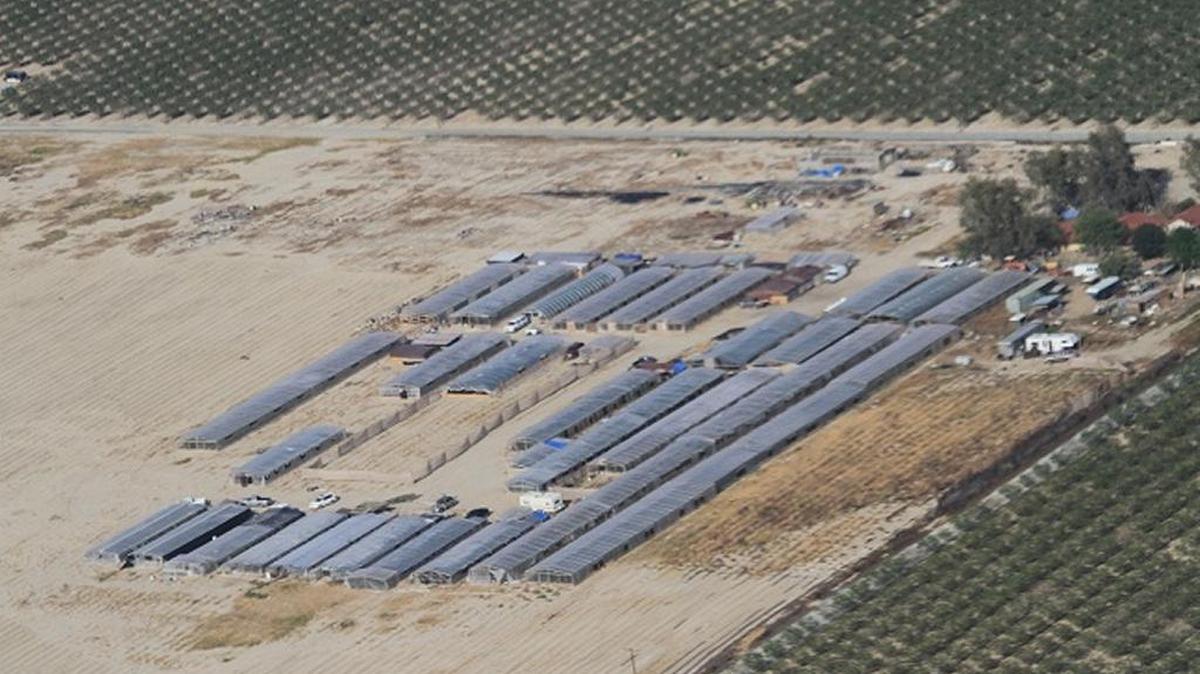 
Aerial view of a marijuana farm raided in April by Tulare County Sheriff’s Department deputies.
