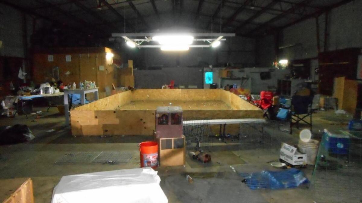 Fresno County sheriff’s deputies said a large cockfighting operation was using this wooden rectangle to stage its fights.