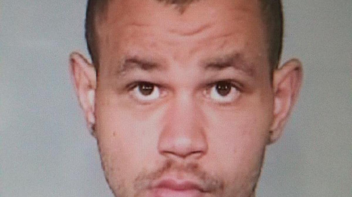 Justin Robert Helms, 24, has been arrested for allegedly stealing a vehicle and purse in southwest Fresno on Sunday.