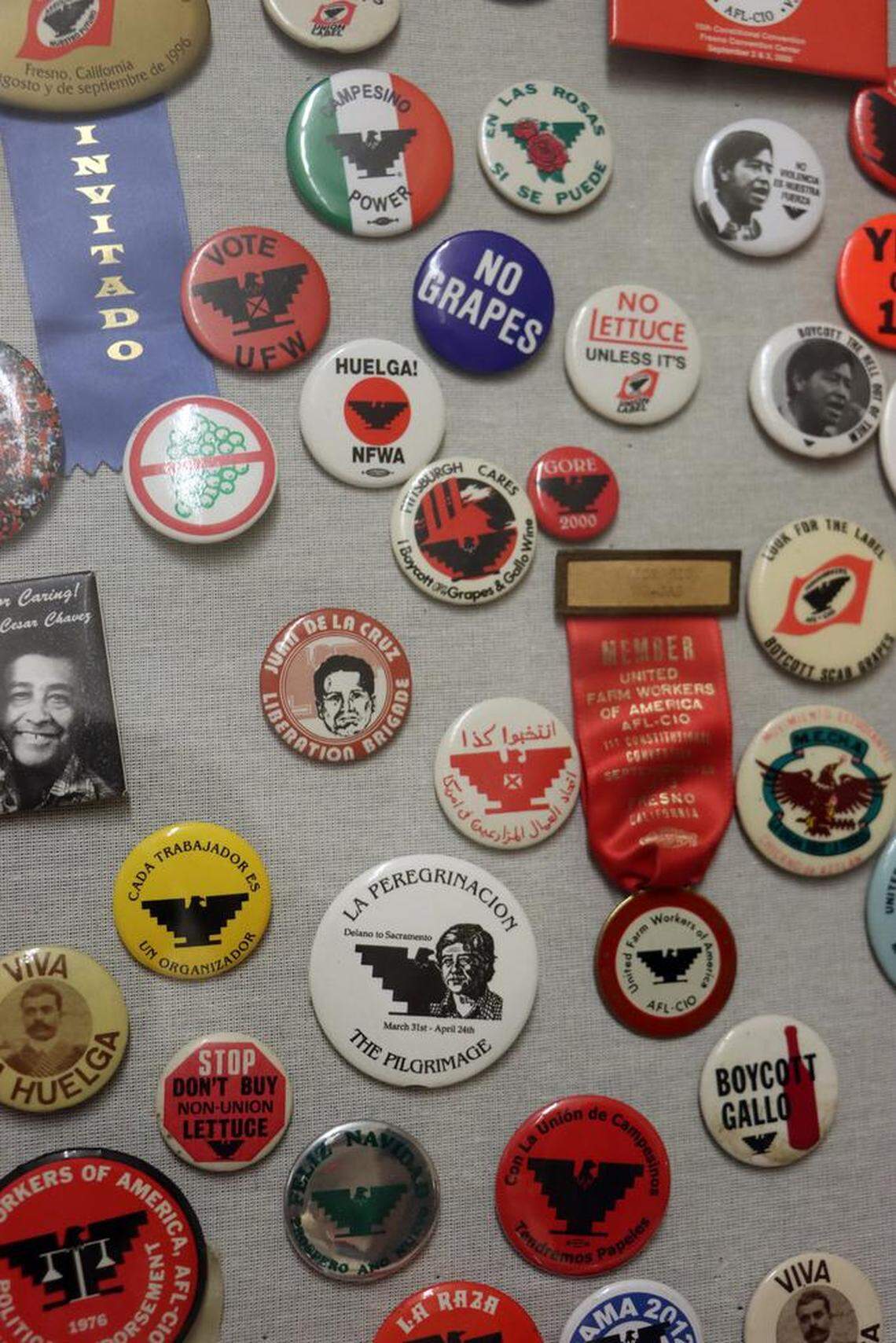 A collection of UFW buttons was displayed at the 50th anniversary commemoration of the United Farm Workers grape strike at Fresno City College on Aug. 19, 2023.