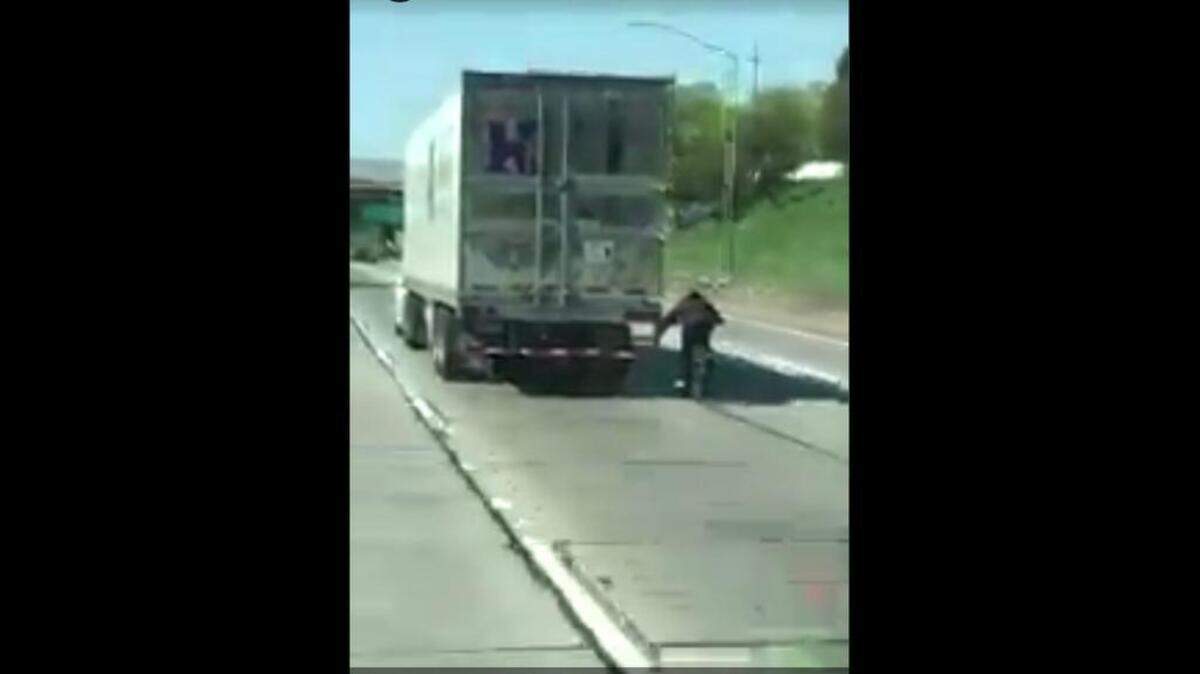A man on a bicycle held onto the back of a big truck while traveling on Highway 99 on Wednesday. The truck speed limit in the area was 55 mph.