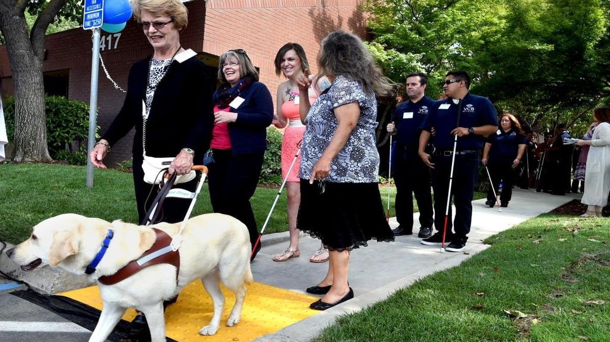 Judy Borushok, assisted by her guide dog “Rosie,” attends the grand opening of the Valley Center For the Blind on Friday afternoon at 3417 W. Shaw Ave. Established in 1973, Valley Center for the Blind provides services for over 300 blind and visually impaired individuals annually.