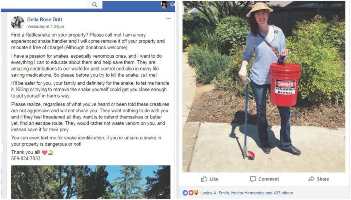 Bella Rose Britt shared this post in an Oakhurst Area Facebook group on Sunday, April 22, 2018 offering rattlesnake-catching services.