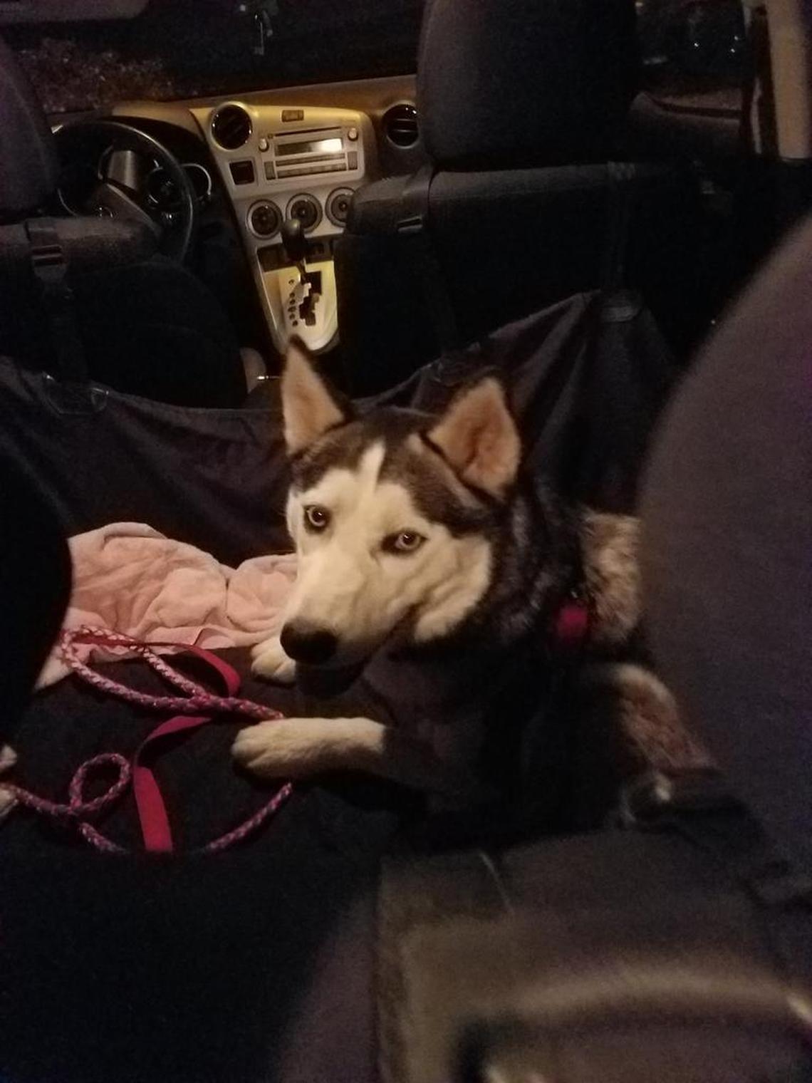 Jada and her sister Layla were left behind at Woodward Park