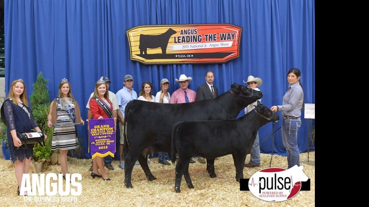 
DC Paris’s Legacy 312 won bred-and-owned reserve senior champion female at the 2015 National Junior Angus Show,  in Tulsa, Oklahoma. Macy Perry of Prather owns the winning female.
