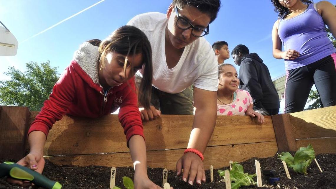 Sunnyside High School students help plant a garden at Ayer Elementary School. Sunnyside is one of the schools that benefit from academic-enrichment programs that receive federal funds that are threatened to disappear under President Donald Trump’s proposed budget. But Fresno Unified officials say those programs will go untouched.