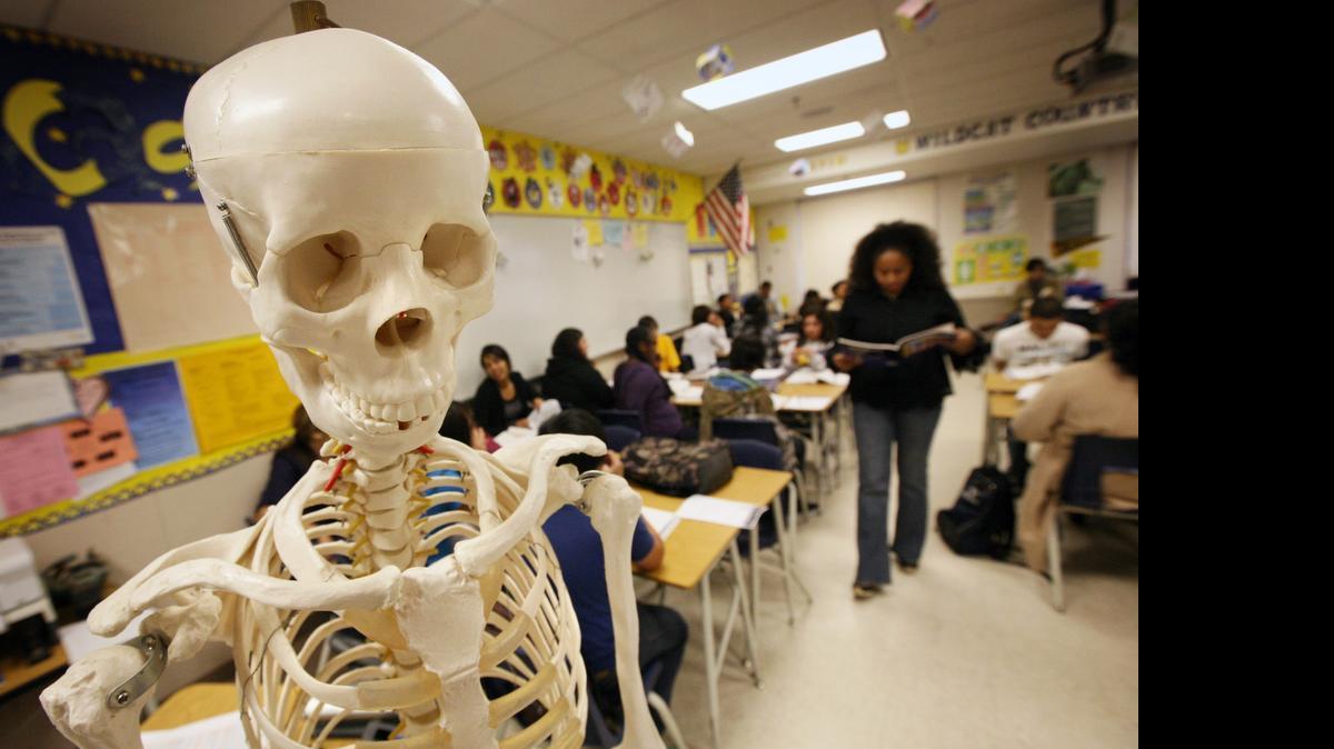 
 A model of a skeleton stands at the front of the class as teacher Tash Aquino quizzes 10th graders in a Doctors Academy class at Sunnyside High School. 

