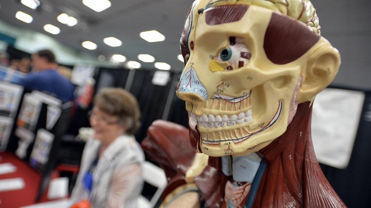 A model of a human on display at the Sanger Adult School booth at the annual Central Valley Career Tech Expo in October 2015 at the Fresno Convention Center Exhibit Hall.