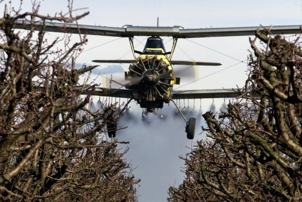 Crop duster pilot Richard Deming of Kenny’s Crop Dusters brings his plane in low to spray fungicide on an orchard of nectarines north of Easton in this file photo. The ACLU wants the state to tighten regulations for pesticides applied to fields near schools.