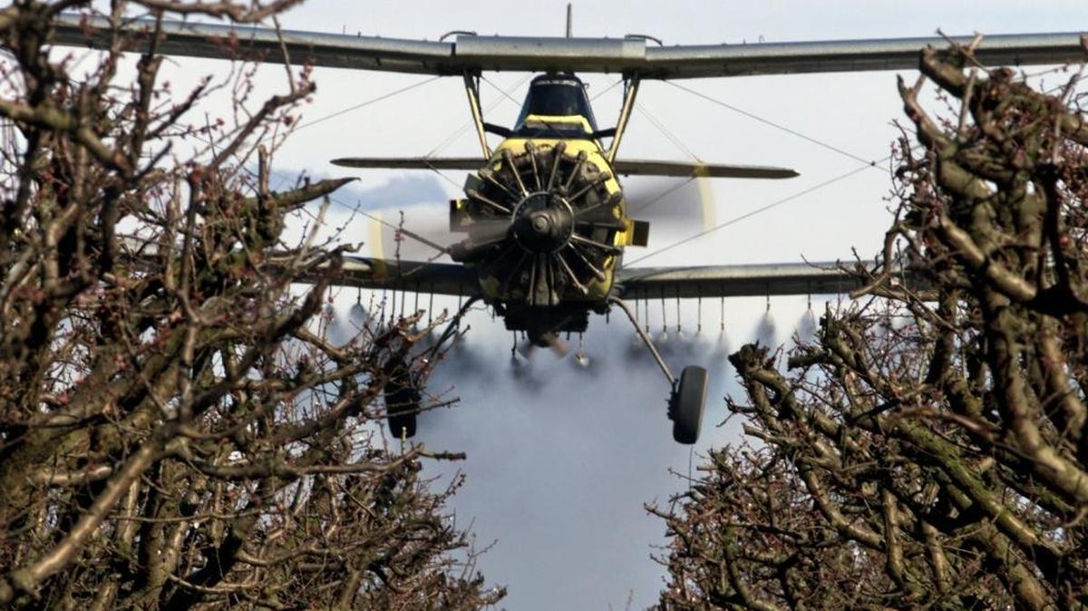 Crop duster pilot Richard Deming of Kenny’s Crop Dusters brings his plane in low to spray fungicide on an orchard of nectarines north of Easton in this file photo. The ACLU wants the state to tighten regulations for pesticides applied to fields near schools.
