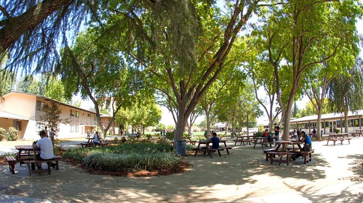 
Fresno Pacific University student body fees helped pay for renovations to the school’s “forest.”
